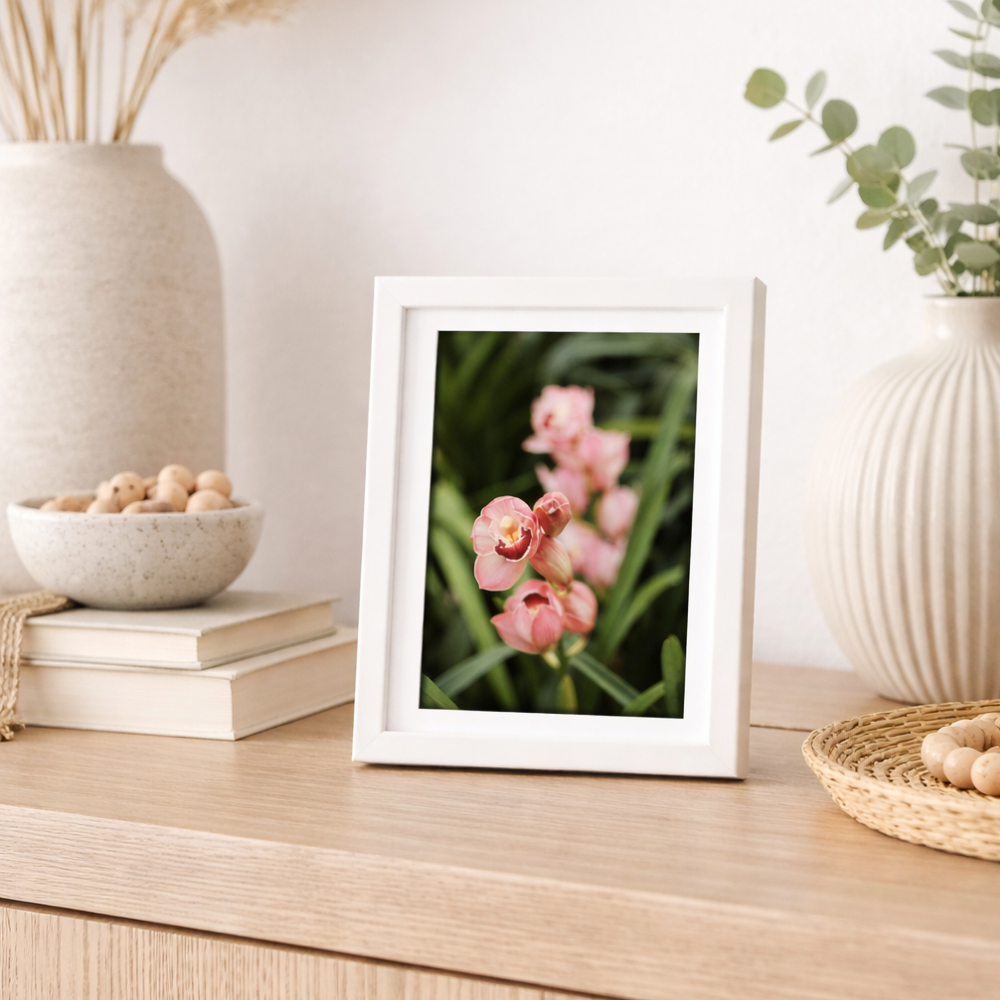 Keretezett növényfotó - Orchidea család